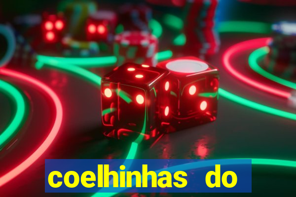 coelhinhas do brasil acompanhantes